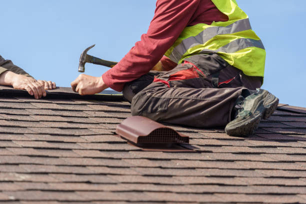 Best Roof Gutter Cleaning  in Osceola, MO