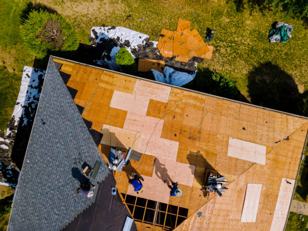 Best Roof Waterproofing Services  in Osceola, MO