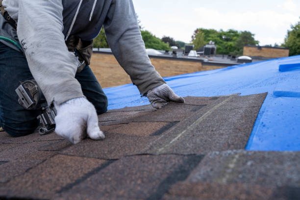 Best Shingle Roofing Installation  in Osceola, MO