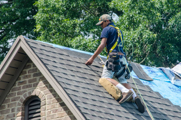 Best Roof Maintenance Services  in Osceola, MO